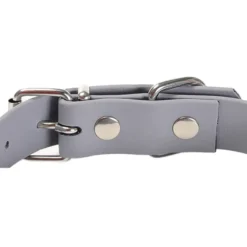 Gotoo Collar Biothane gris para perros