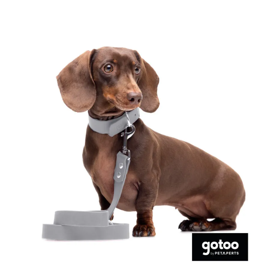 Gotoo Collar Biothane gris para perros