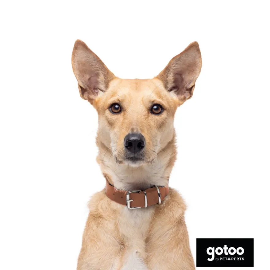 Gotoo Collar Biothane marrón para perros