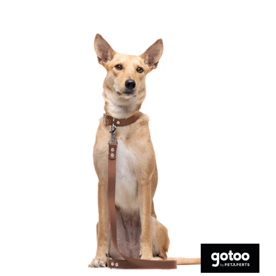 Gotoo Collar Biothane marrón para perros