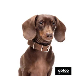 Gotoo Collar Biothane marrón para perros