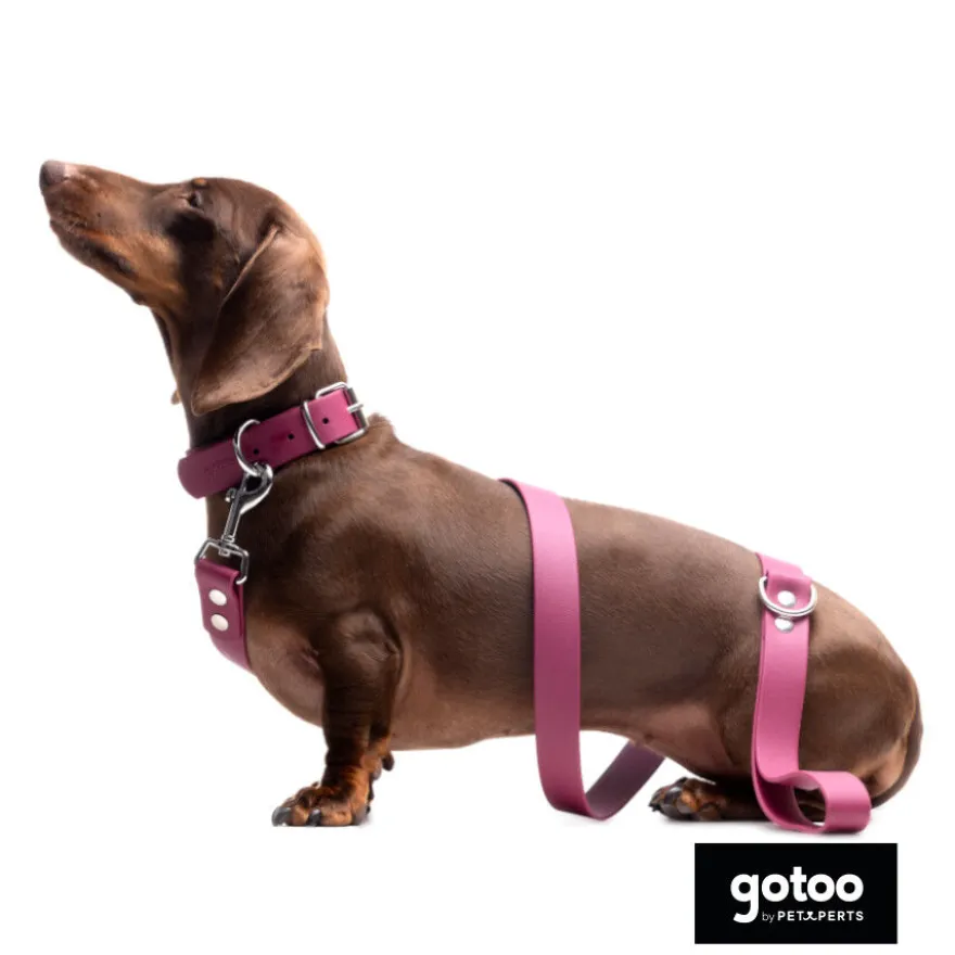 Gotoo Collar Biothane rojo vino para perros