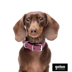 Gotoo Collar Biothane rojo vino para perros