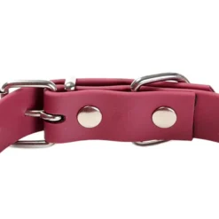 Gotoo Collar Biothane rojo vino para perros
