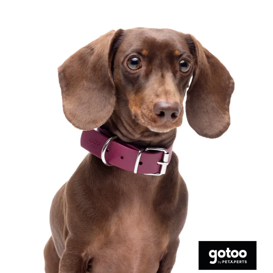 Gotoo Collar Biothane rojo vino para perros