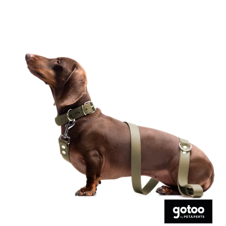 Gotoo Collar Biothane verde oliva para perros