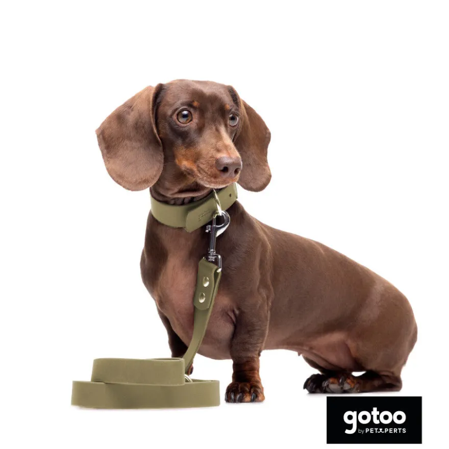 Gotoo Collar Biothane verde oliva para perros