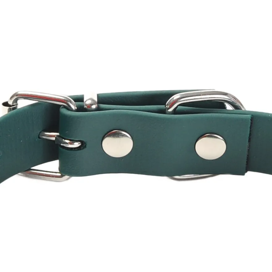 Gotoo Collar Biothane verde para perros