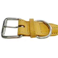 Gotoo Collar cuero azul para perros