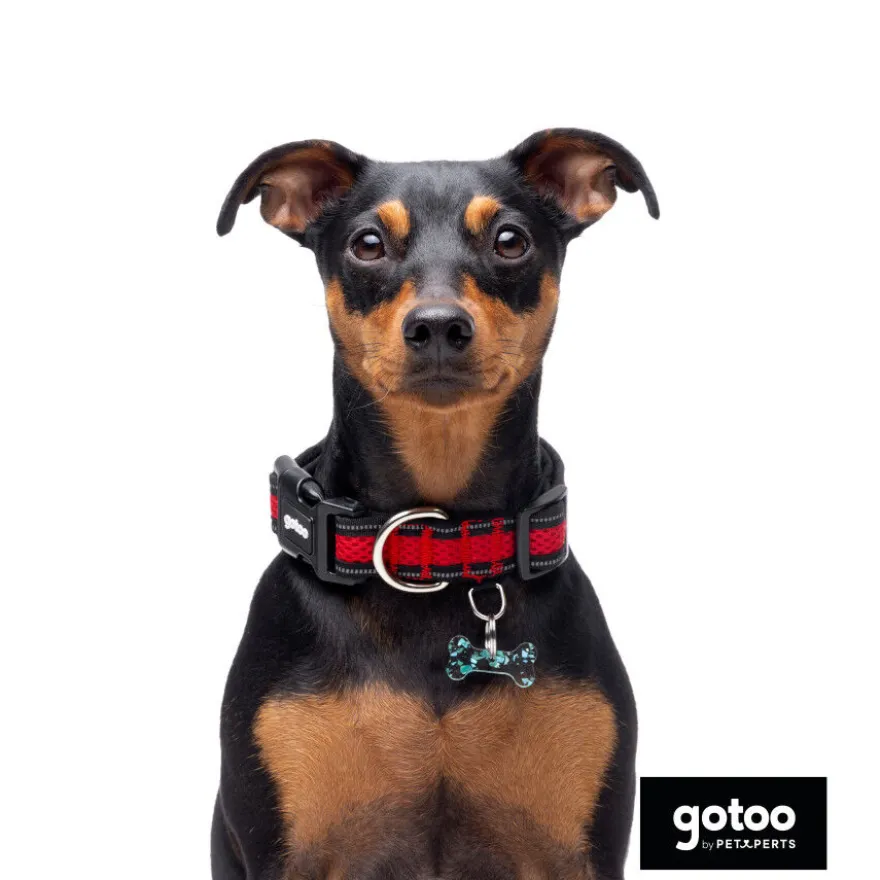 Gotoo Collar de malla transpirable rojo para perros