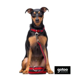 Gotoo Collar de malla transpirable rojo para perros