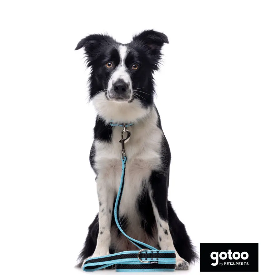 Gotoo collar de malla transpirable turquesa para perros
