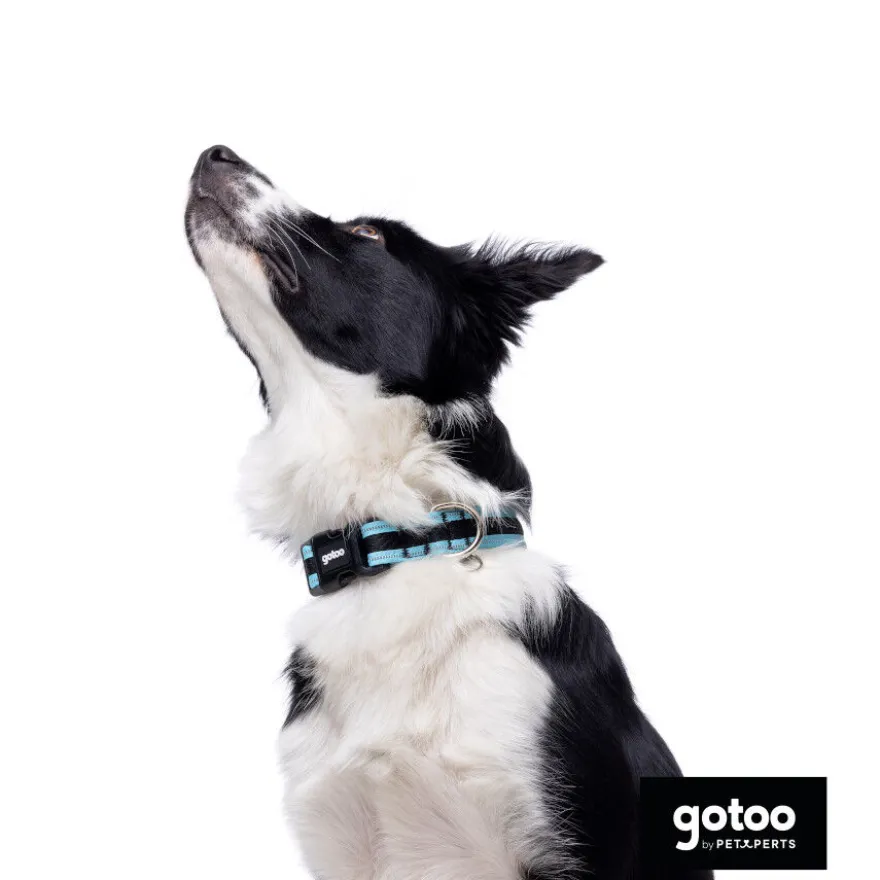 Gotoo collar de malla transpirable turquesa para perros