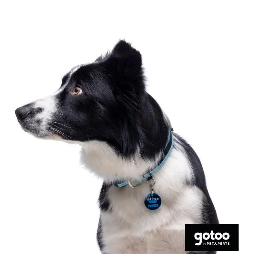 Gotoo collar de malla transpirable turquesa para perros