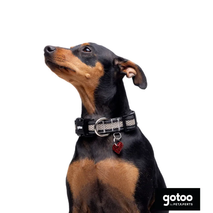 Gotoo Collar de malla transpirable gris para perros