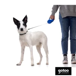 Gotoo Collar de nylon negro para perros
