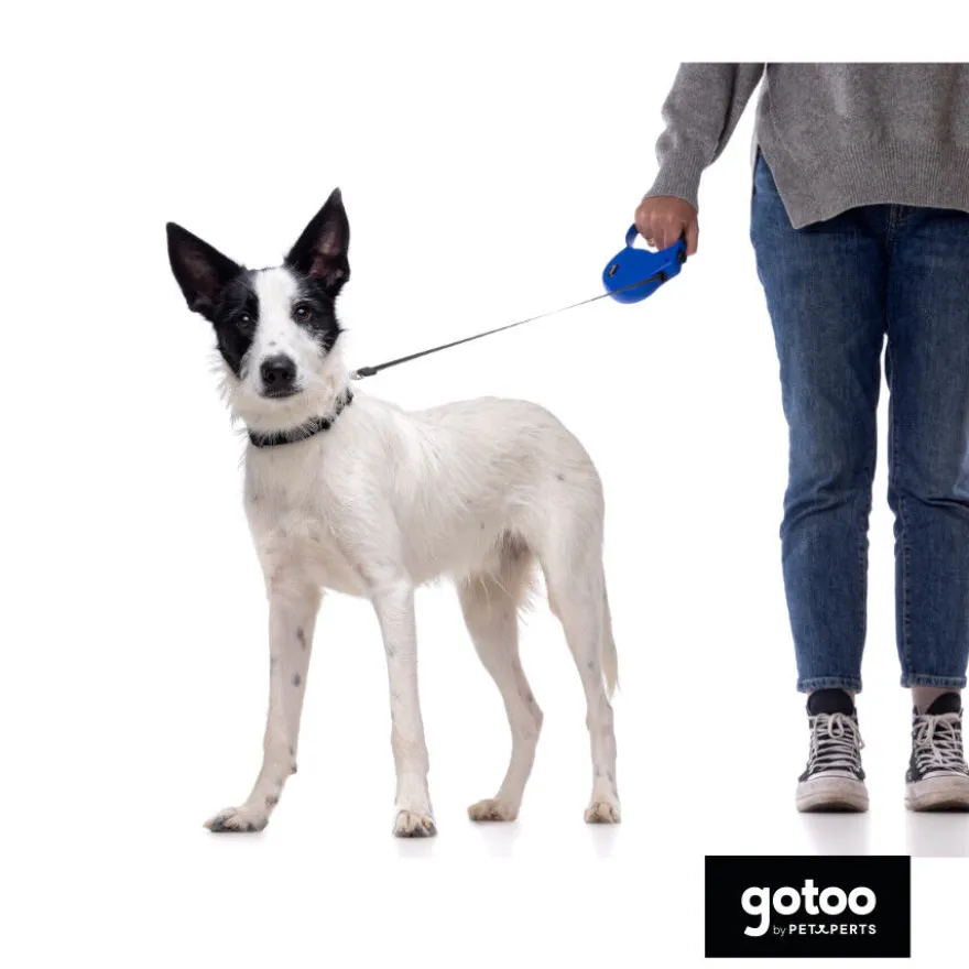 Gotoo Collar de nylon negro para perros