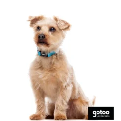Gotoo collar de nylon reflectante azul para perros