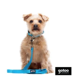 Gotoo collar de nylon reflectante azul para perros