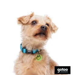 Gotoo collar de nylon reflectante azul para perros