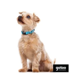 Gotoo collar de nylon reflectante azul para perros