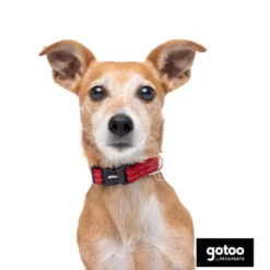 Gotoo Collar de nylon reflectante rojo para perro