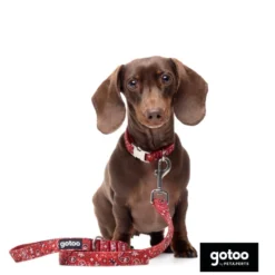 Gotoo Collar estampado cachemira rojo para perros