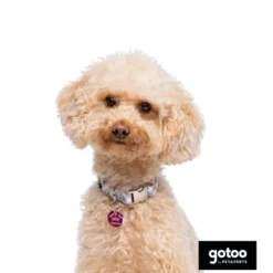 Gotoo Collar estampado cuadro vichy gris para perros