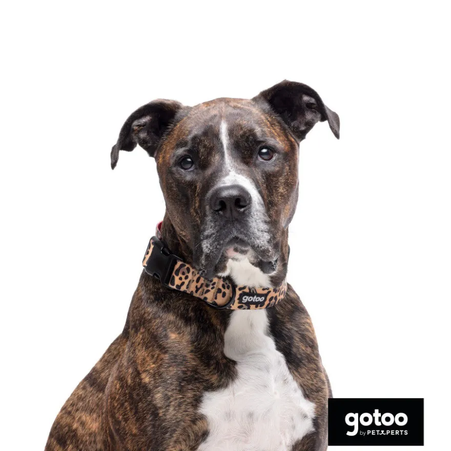 Gotoo Collar estampado leopardo para perros