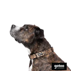 Gotoo Collar estampado leopardo para perros