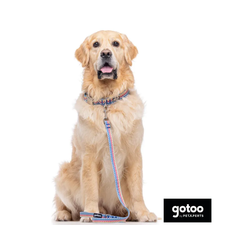 Gotoo Collar estampado rayas zig-zag para perros