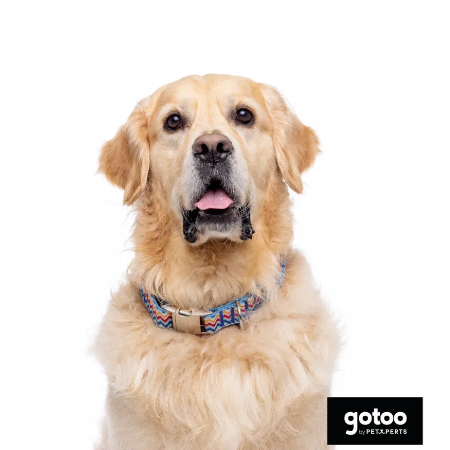 Gotoo Collar estampado rayas zig-zag para perros