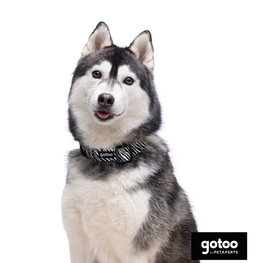 Gotoo Collar estampado zebra para perros