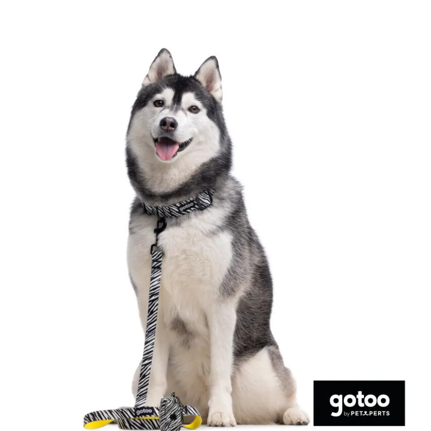 Gotoo Collar estampado zebra para perros