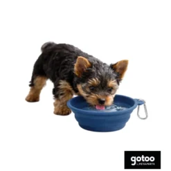 Gotoo Comedero Plegable y Portátil de Silicona Azul para perros y gatos