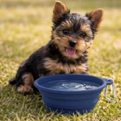 Gotoo Comedero Plegable y Portátil de Silicona Azul para perros y gatos