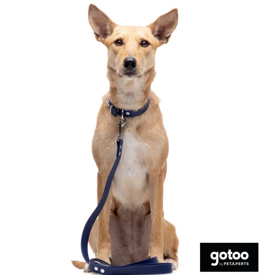 Gotoo Correa Biothane azul para perros