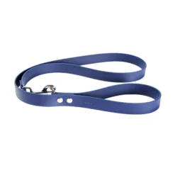 Gotoo Correa Biothane azul para perros