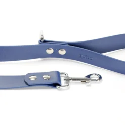 Gotoo Correa Biothane azul para perros
