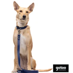 Gotoo Correa Biothane azul para perros