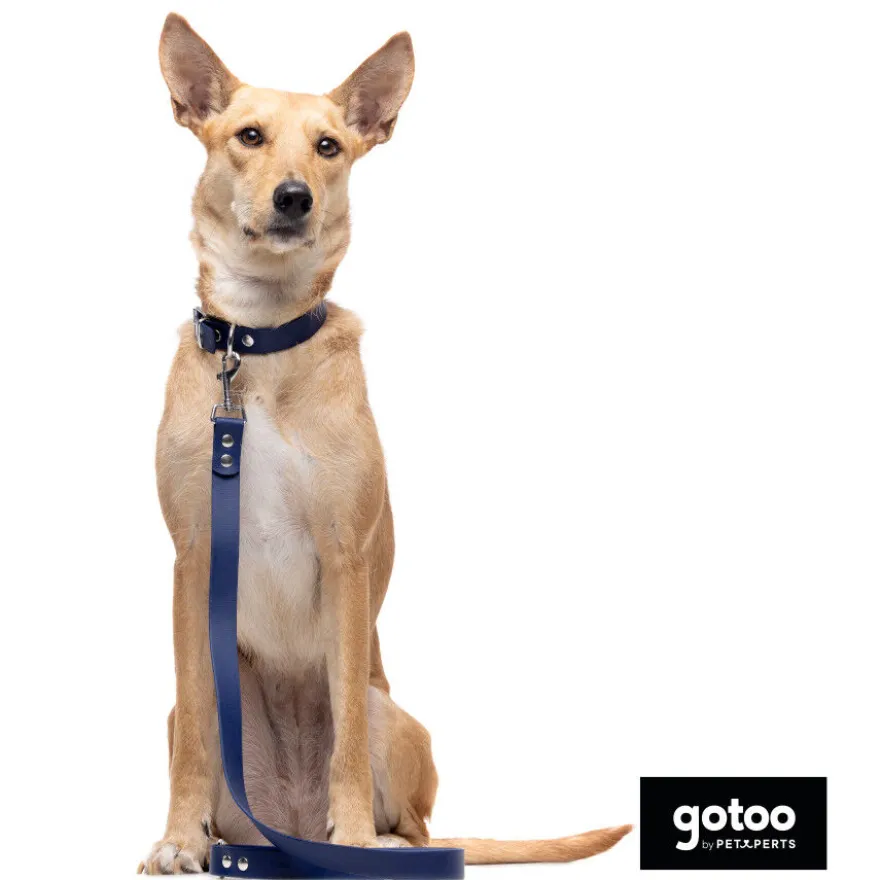 Gotoo Correa Biothane azul para perros
