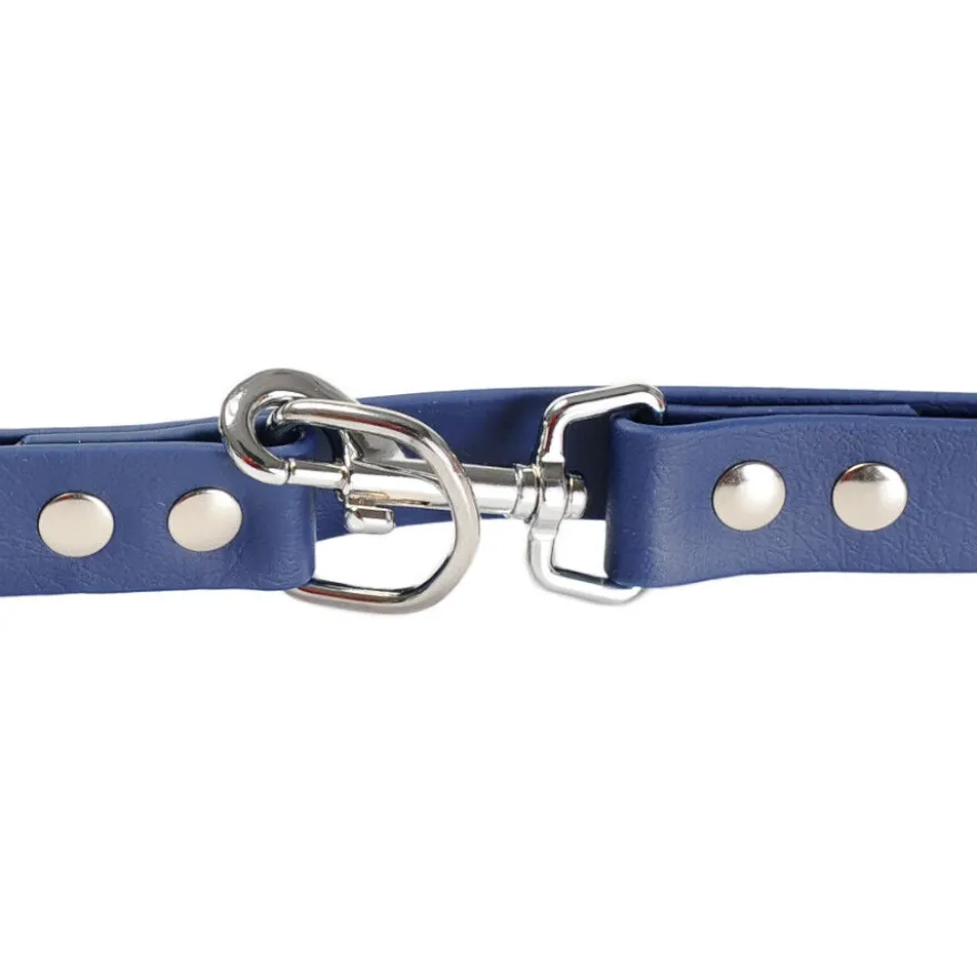 Gotoo Correa Biothane azul para perros