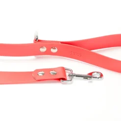Gotoo Correa Biothane roja para perros