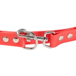 Gotoo Correa Biothane roja para perros