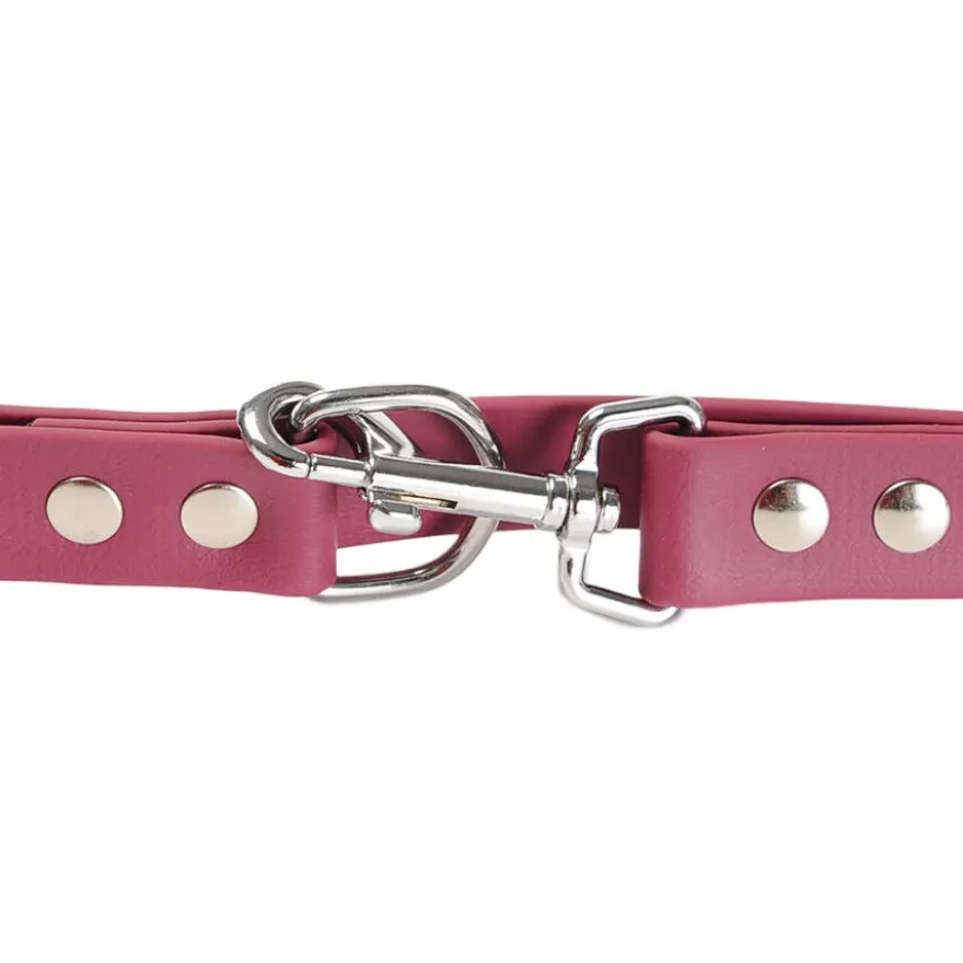 Gotoo Correa Biothane roja vino para perros