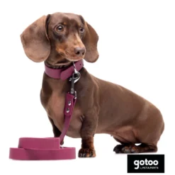 Gotoo Correa Biothane roja vino para perros