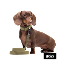 Gotoo Correa Biothane verde oliva para perros