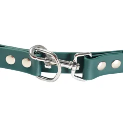 Gotoo Correa Biothane verde para perros