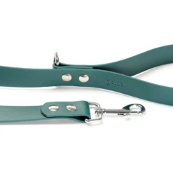 Gotoo Correa Biothane verde para perros