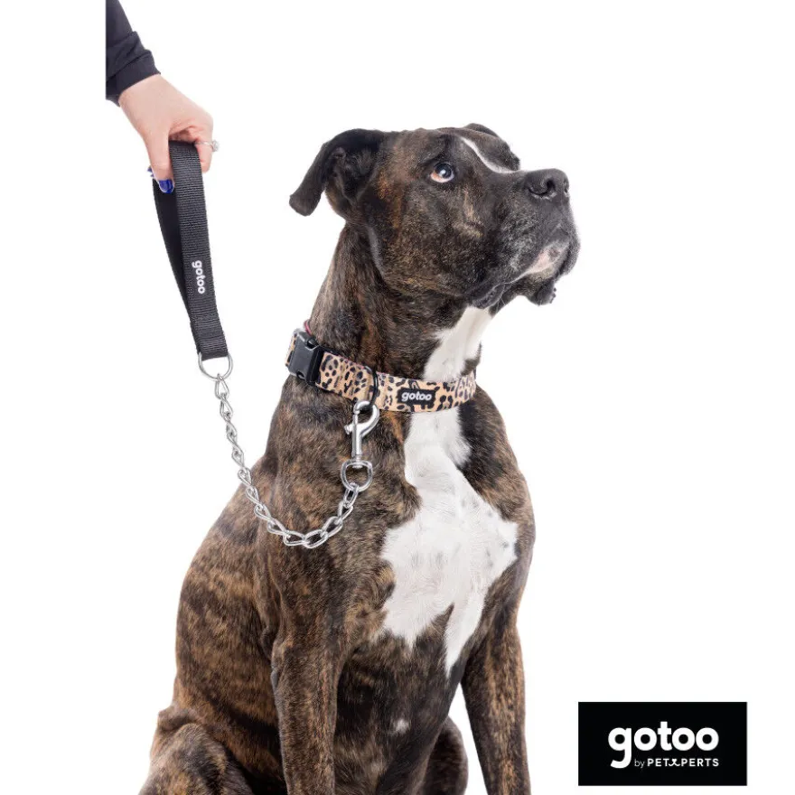 Gotoo Correa de cadena para perros